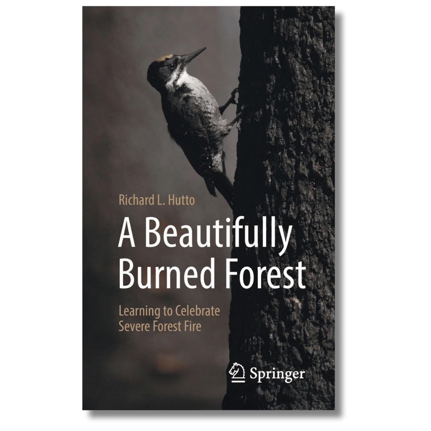 A Beautifully Burned Forest: Learning to Celebrate Severe Forest Fire