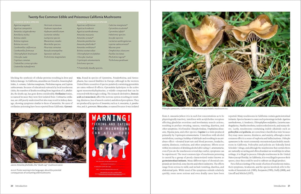 California Mushrooms The Comprehensive Identification Guide The