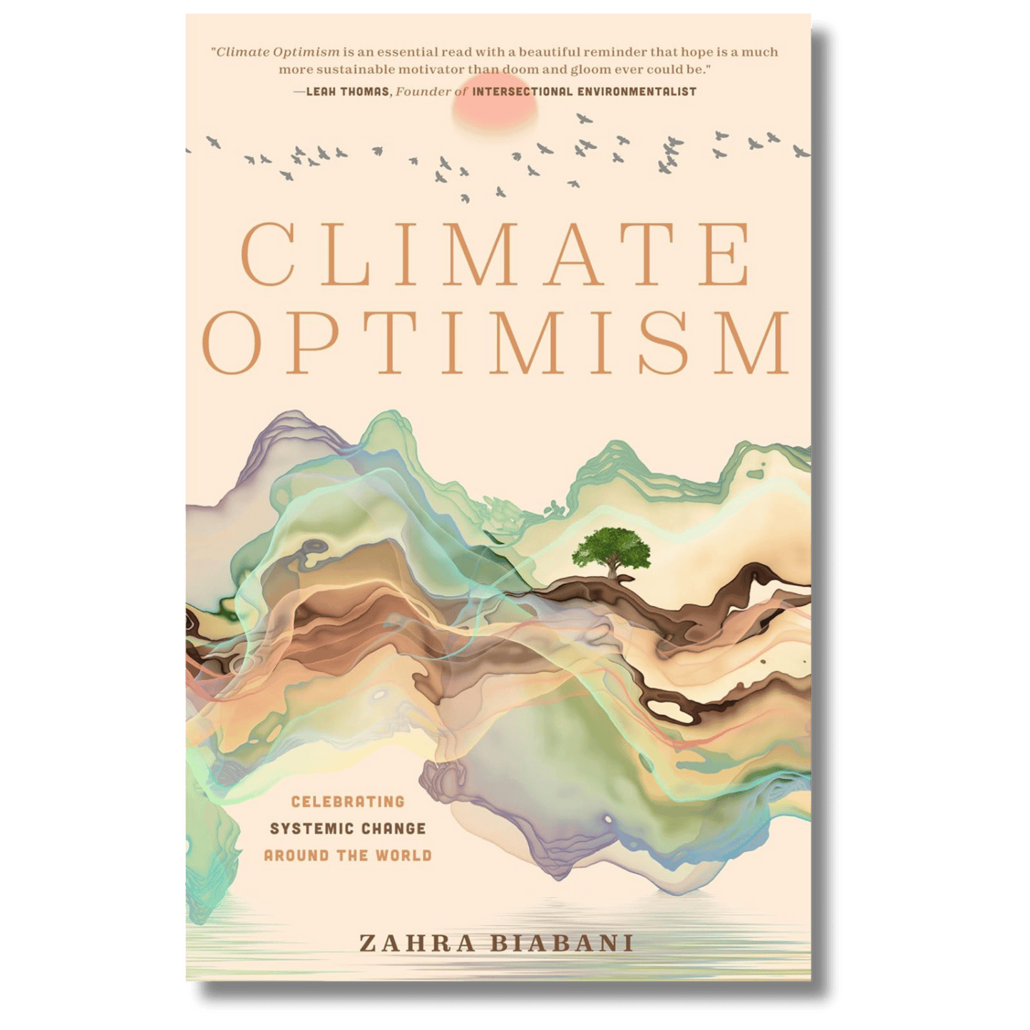 Climate Optimism: Celebrating Systemic Change Around the World