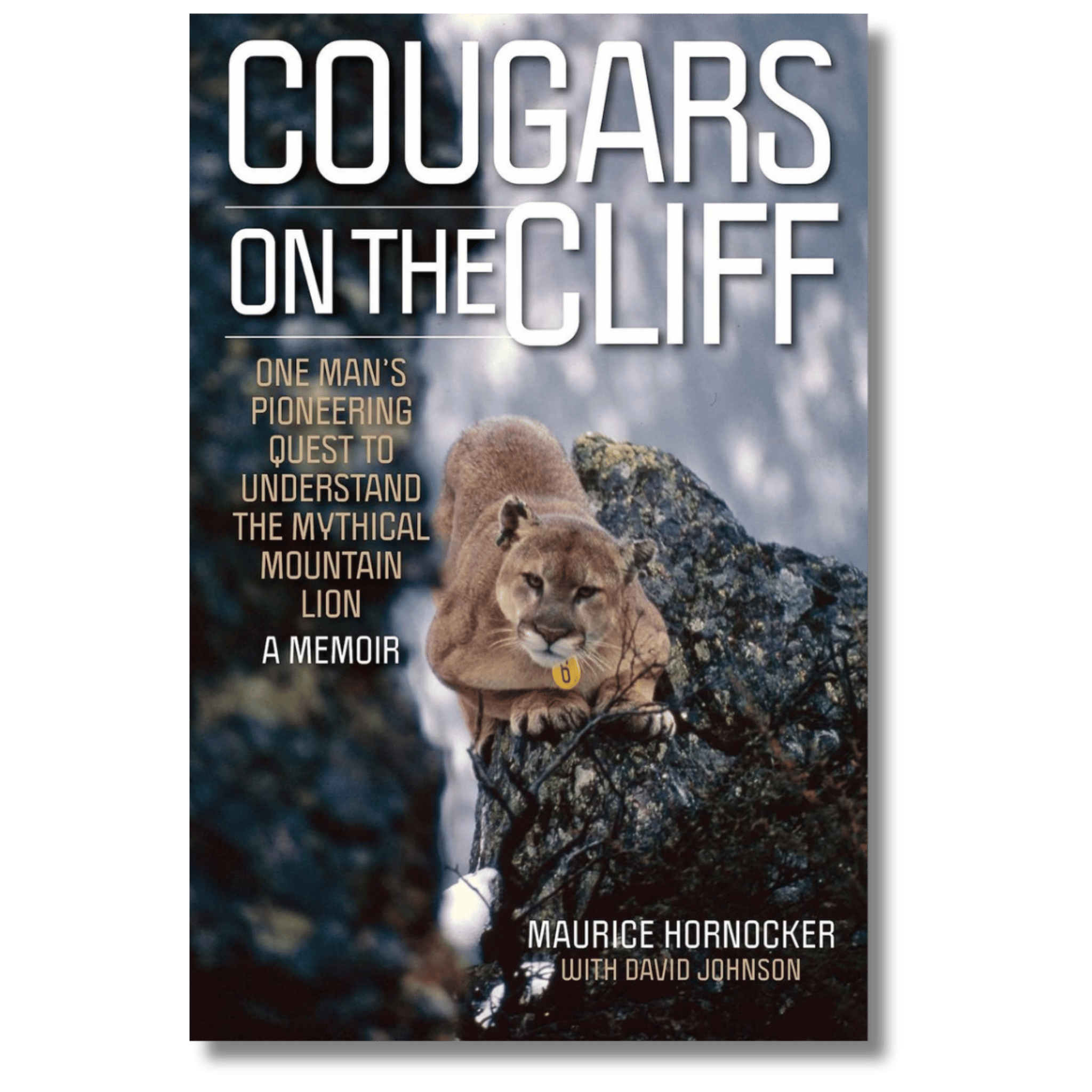 Cougars on the Cliff: One Man's Pioneering Quest to Understand the