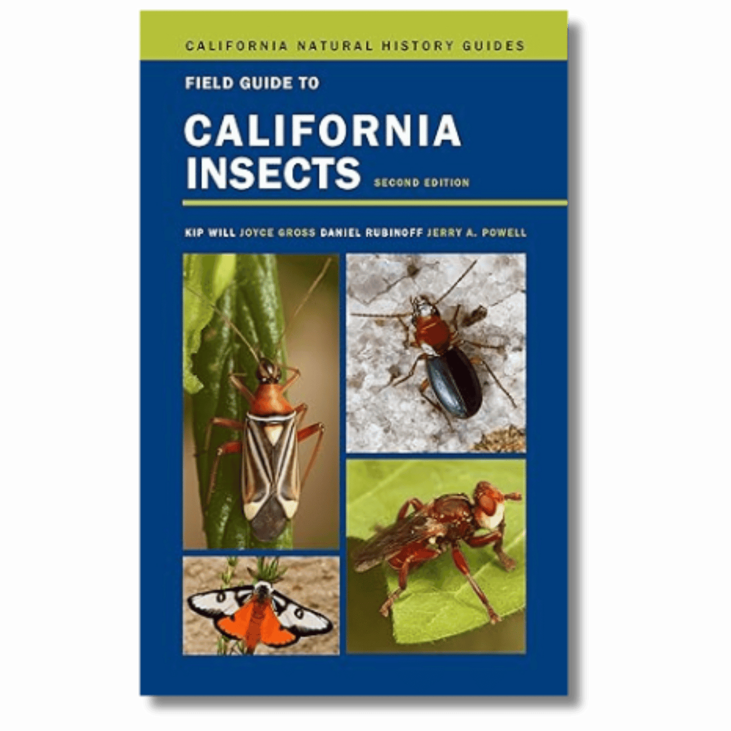 Field Guide to California Insects