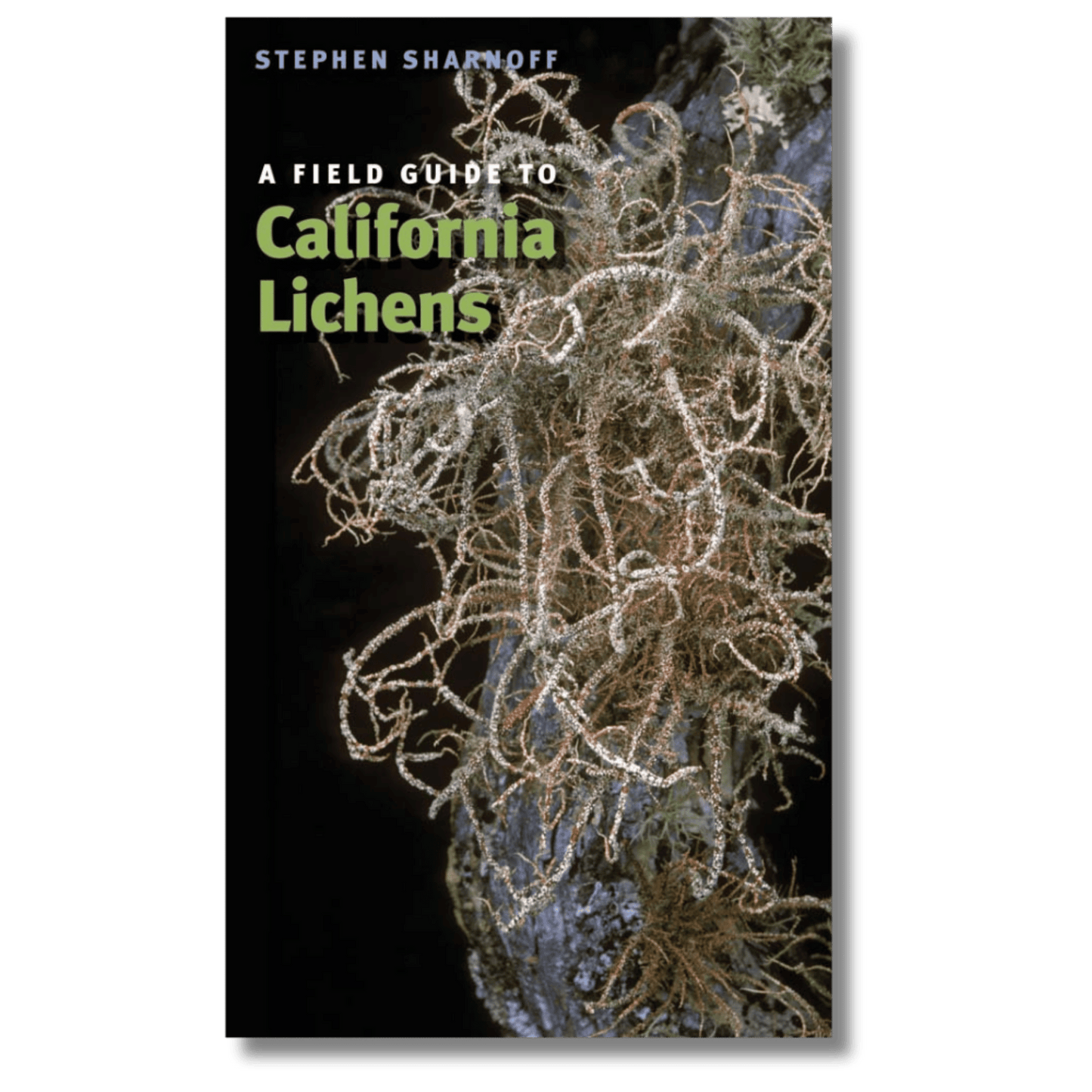 Field Guide to California Lichens