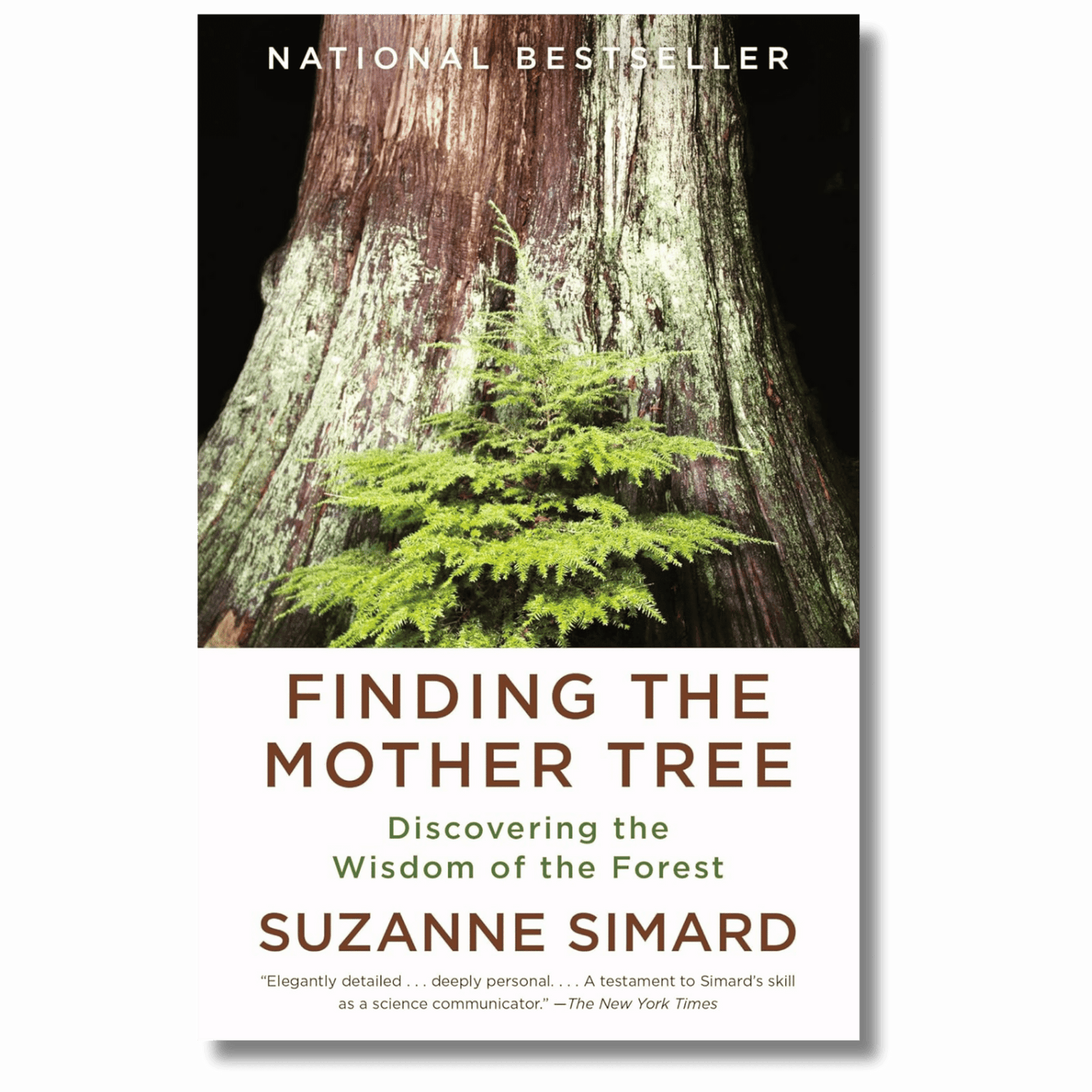 Finding the Mother Tree: Discovering the Wisdom of the Forest