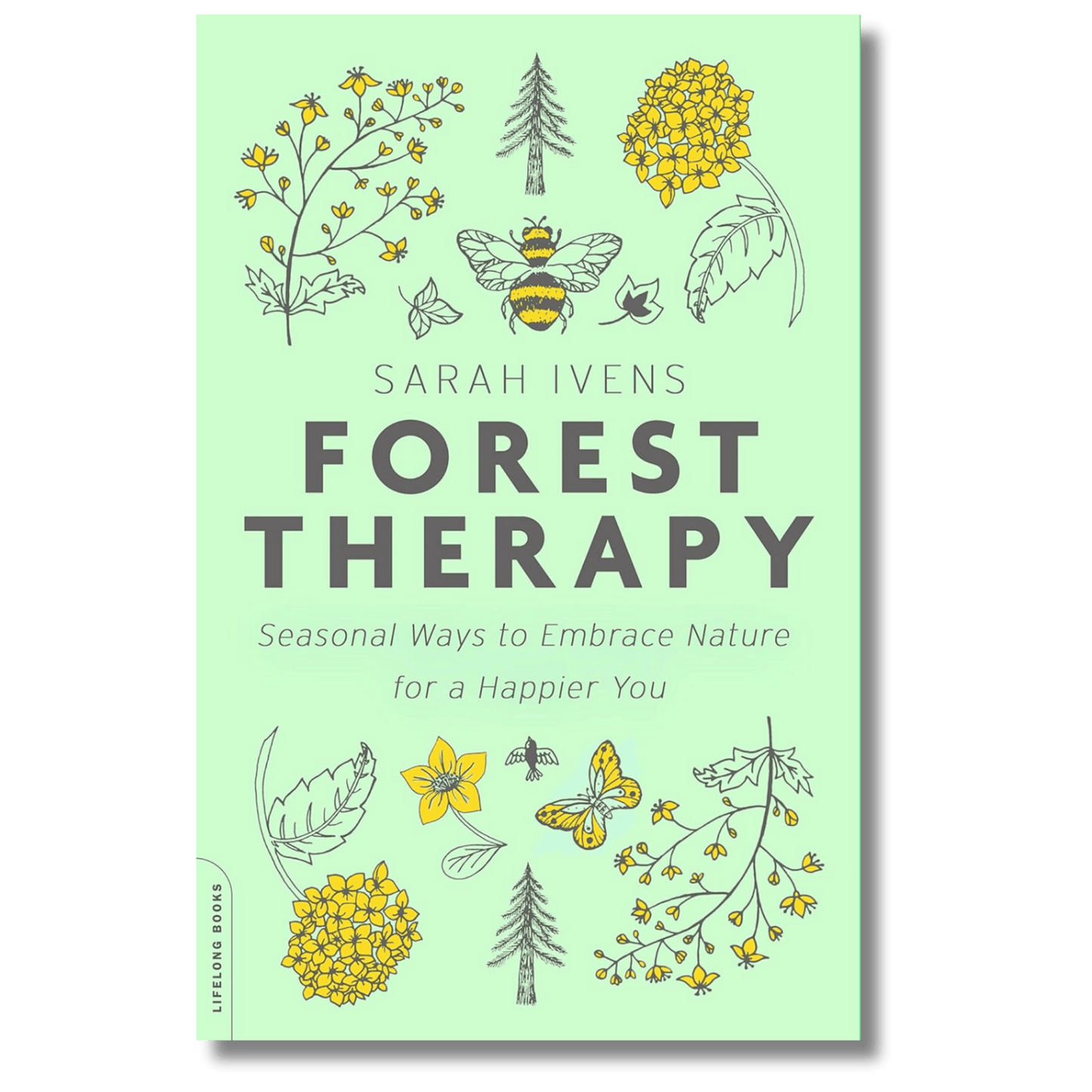 Forest Therapy: Seasonal Ways to Embrace Nature for a Happier You