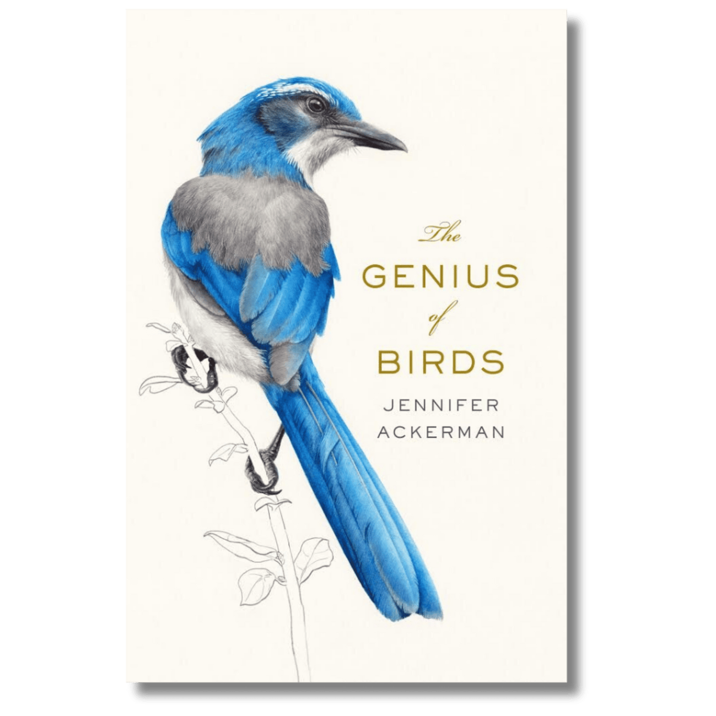 The Genius of Birds