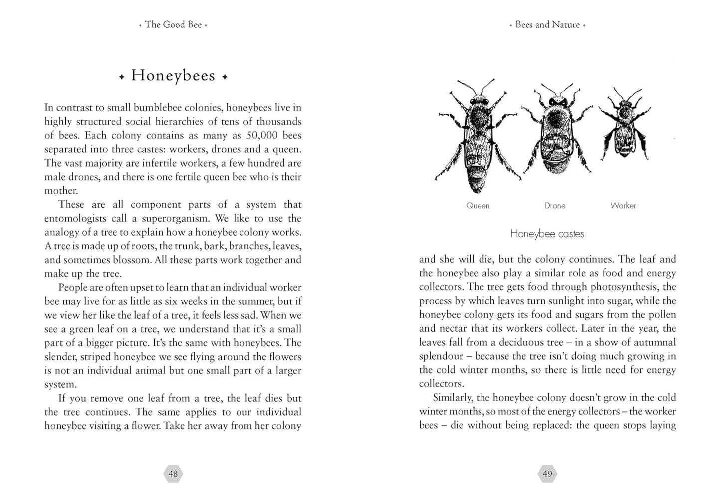 The Good Bee: A Celebration of Bees – And How to Save Them