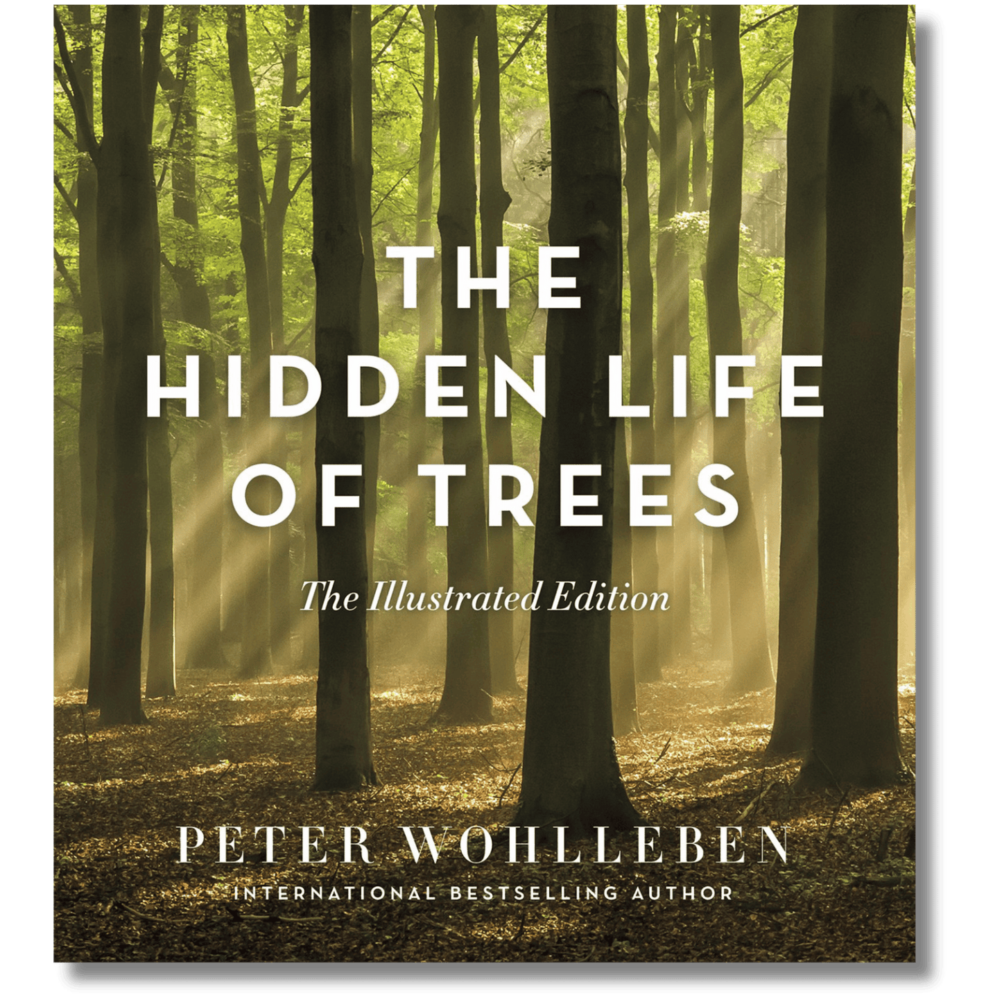 The Hidden Life of Trees: Illustrated Edition