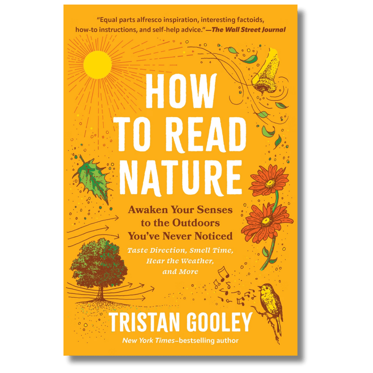 How to Read Nature: Awaken Your Senses to the Outdoors You’ve Never Noticed