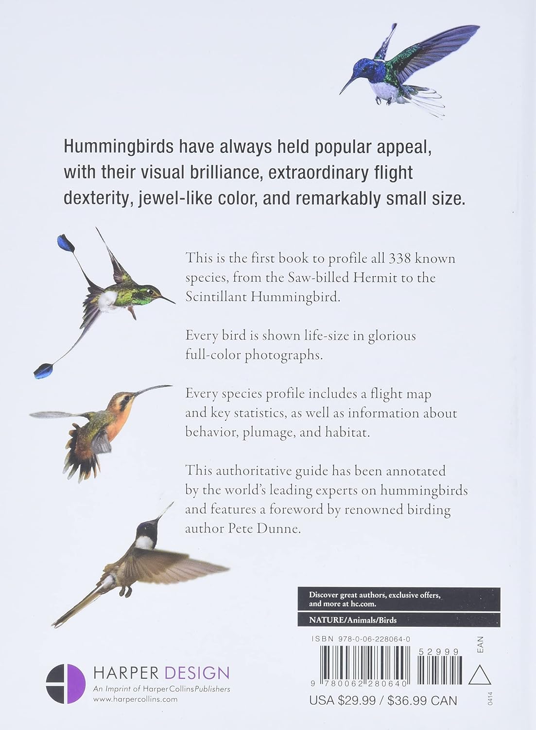 Hummingbirds: A Life-size Guide to Every Species