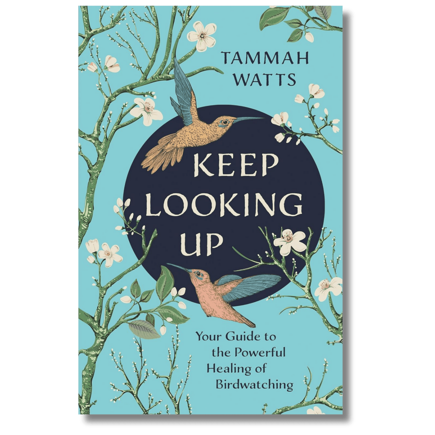 Keep Looking Up: Your Guide to the Powerful Healing of Birdwatching