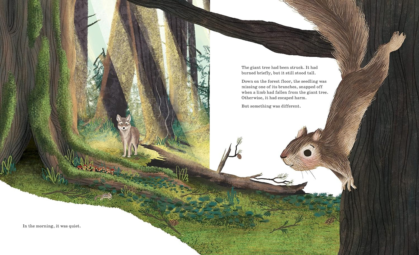 Listen to the Language of the Trees: A Story of How Forests Communicate Underground