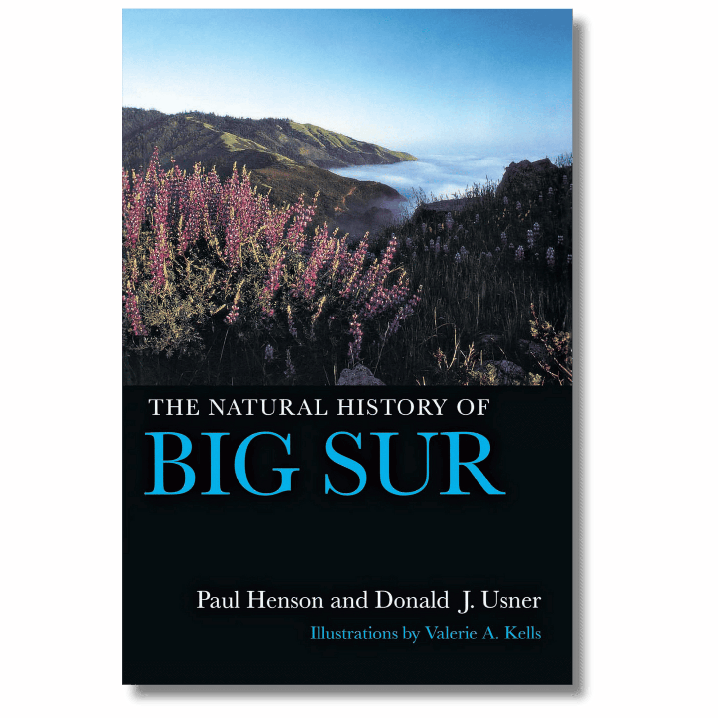The Natural History of Big Sur