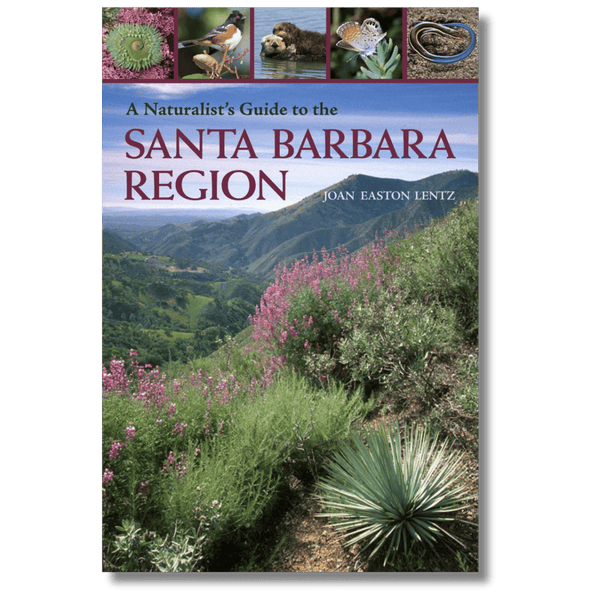 A Naturalist's Guide to the Santa Barbara Region (Local Author)