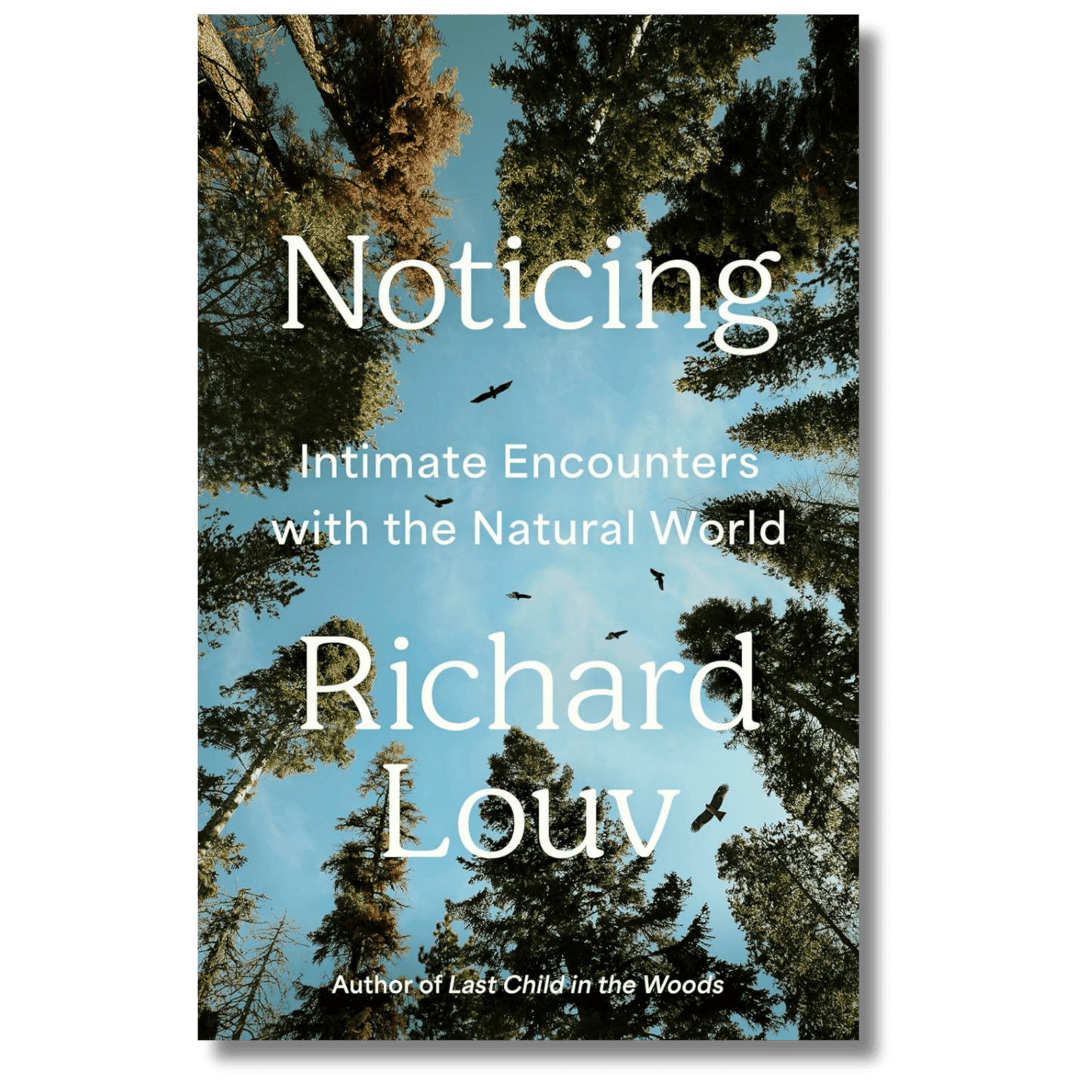 Noticing: Intimate Encounters With the Natural World