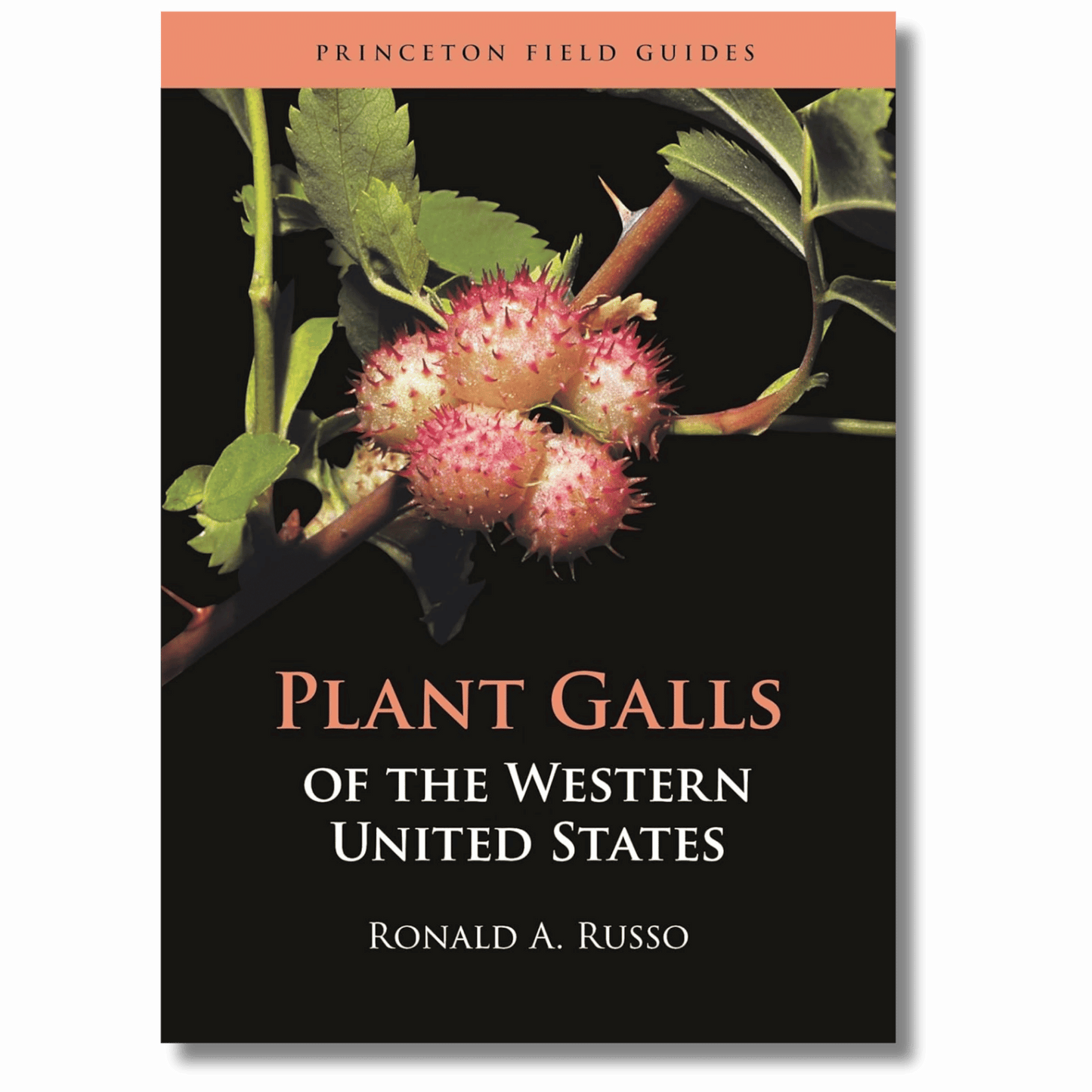 Plant Galls of the Western United States