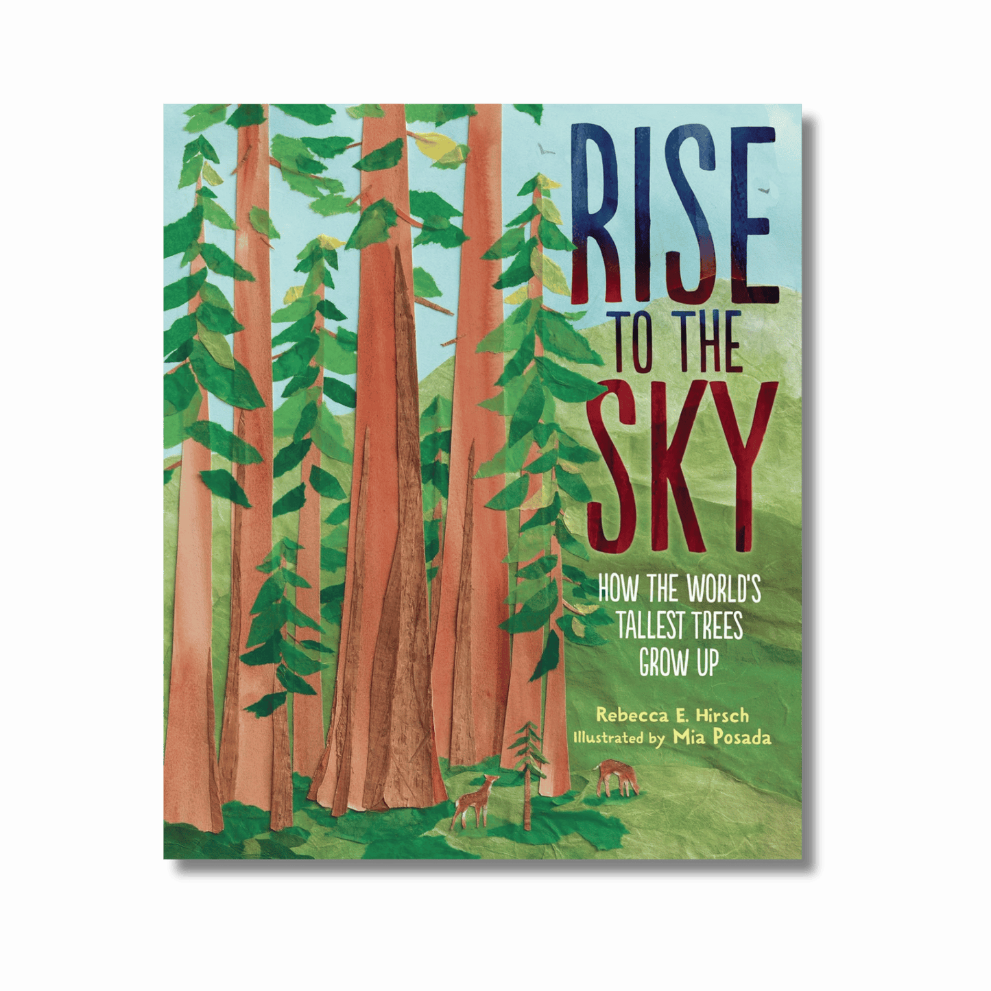 Rise to the Sky: How the World's Tallest Trees Grow Up