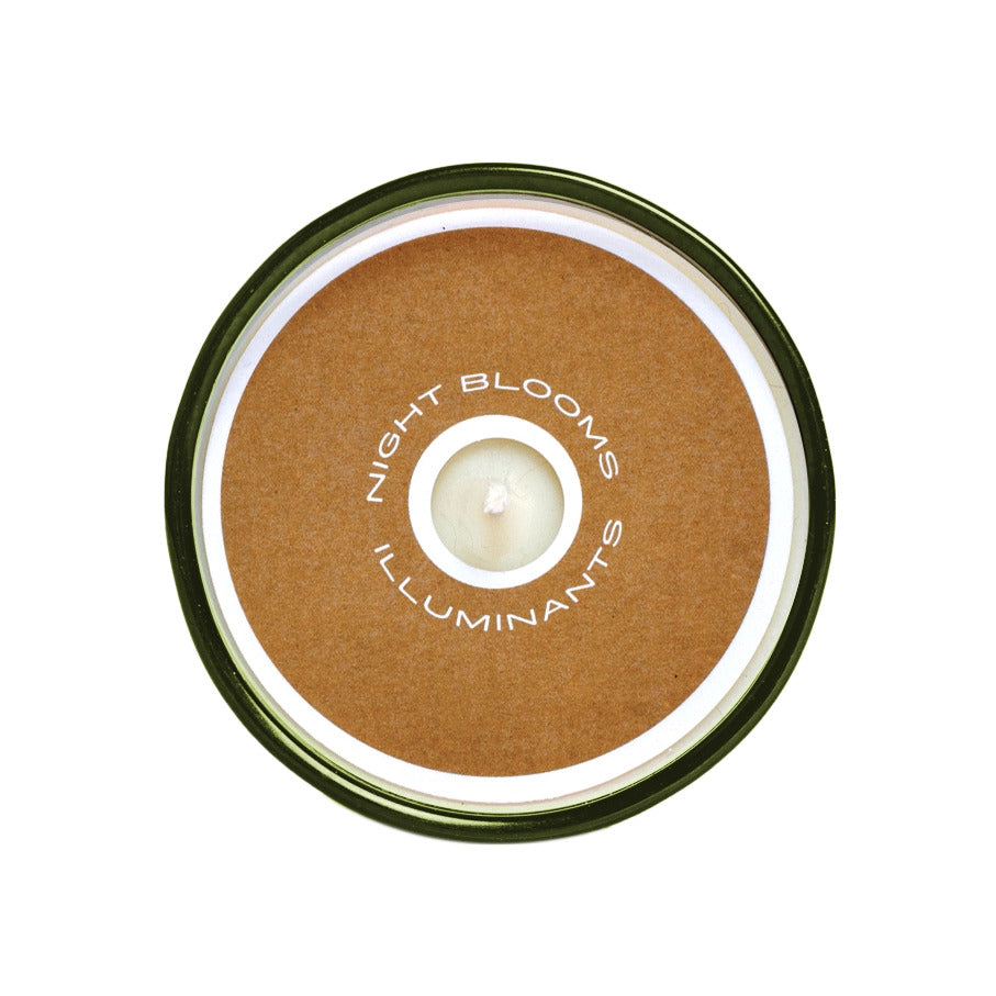 Sespe Pinecone Candle