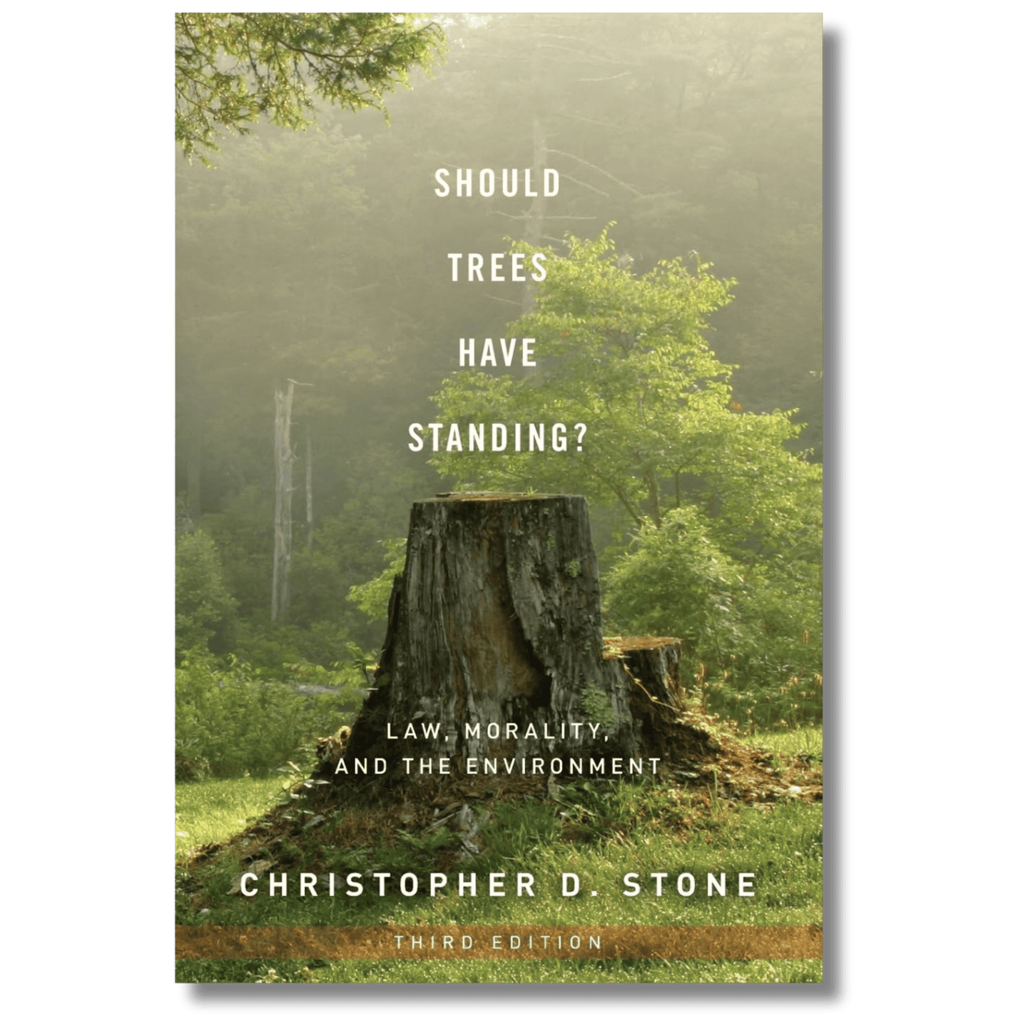 Should Trees Have Standing?: Law, Morality, and the Environment
