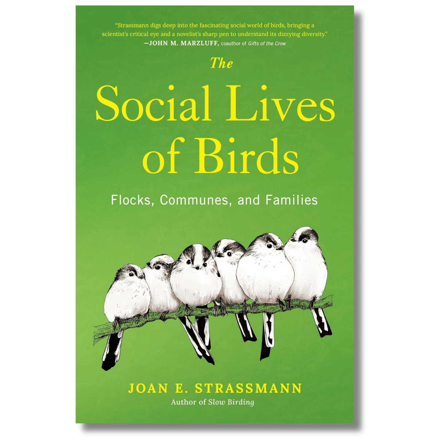 The Social Lives of Birds: Flocks, Communes, and Families