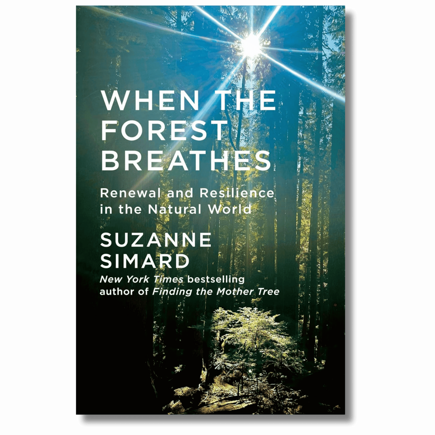 When the Forest Breathes: Renewal and Resilience in the Natural World