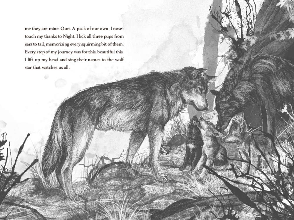 A Wolf Called Wander