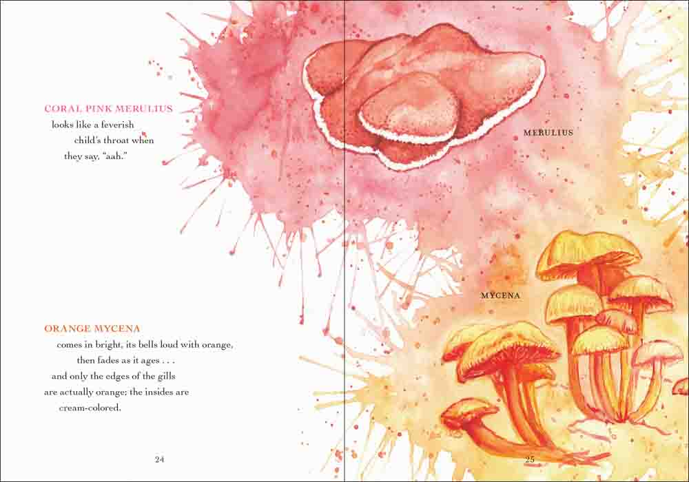 The Wonder of Mushrooms: The Mysterious World of Fungi