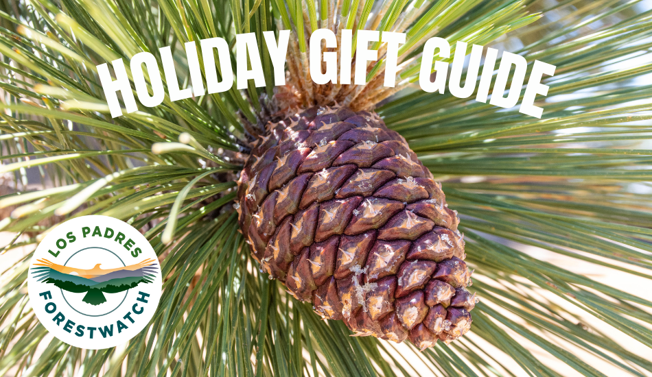 ForestWatch Gift Guide