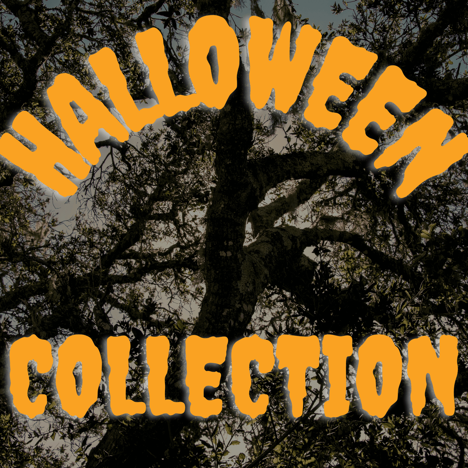 Halloween Collection