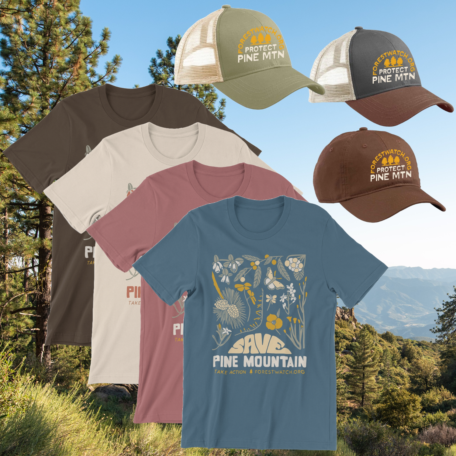 Pine Mountain Collection