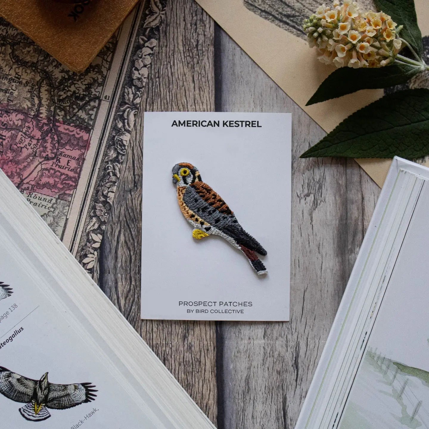 American Kestrel Patch