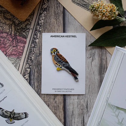 American Kestrel Patch