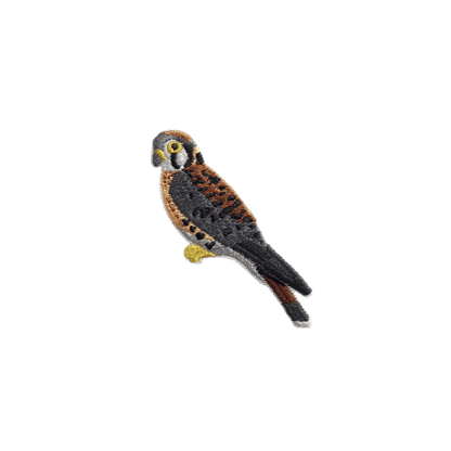 American Kestrel Patch