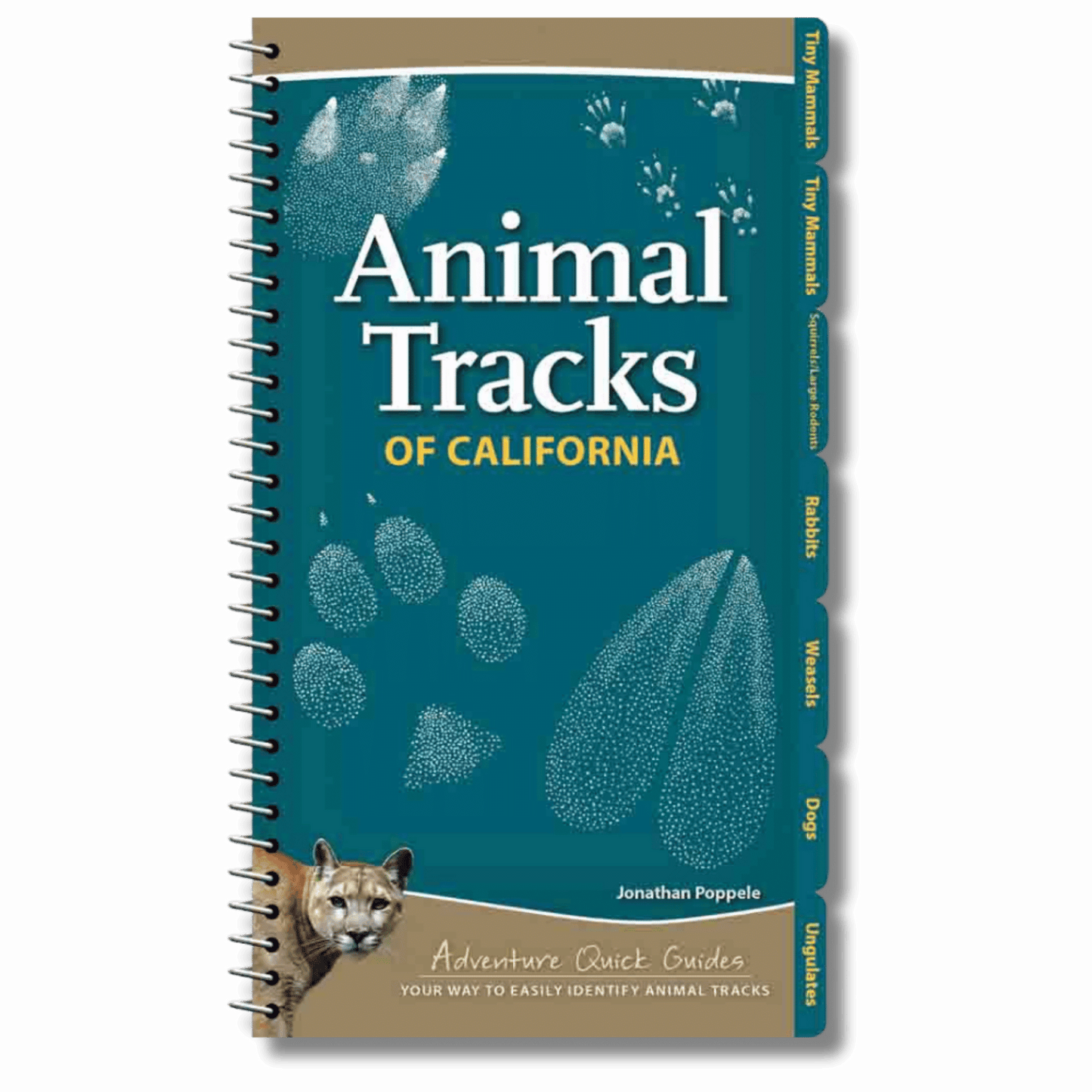 Animal Tracks of California
