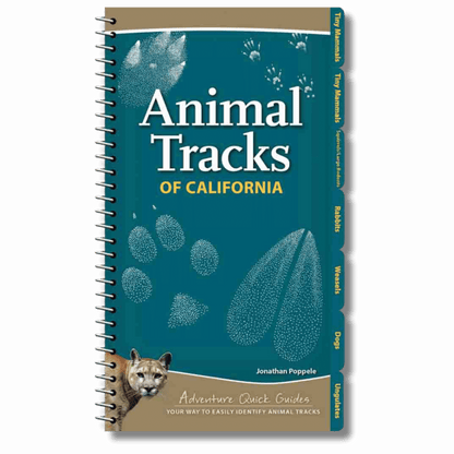 Animal Tracks of California