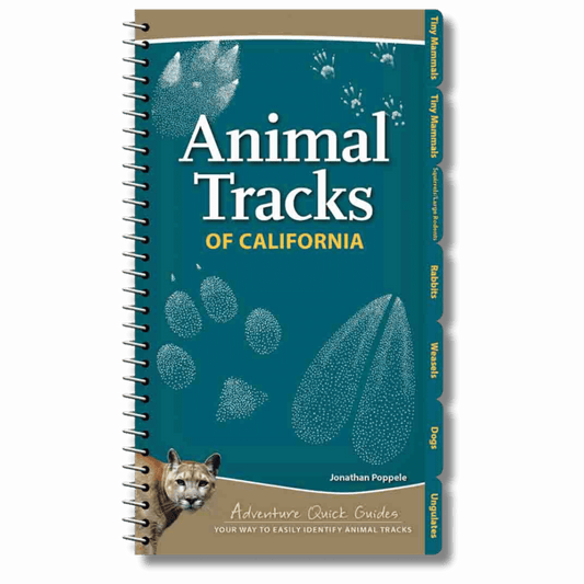 Animal Tracks of California
