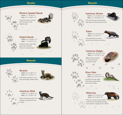 Animal Tracks of California