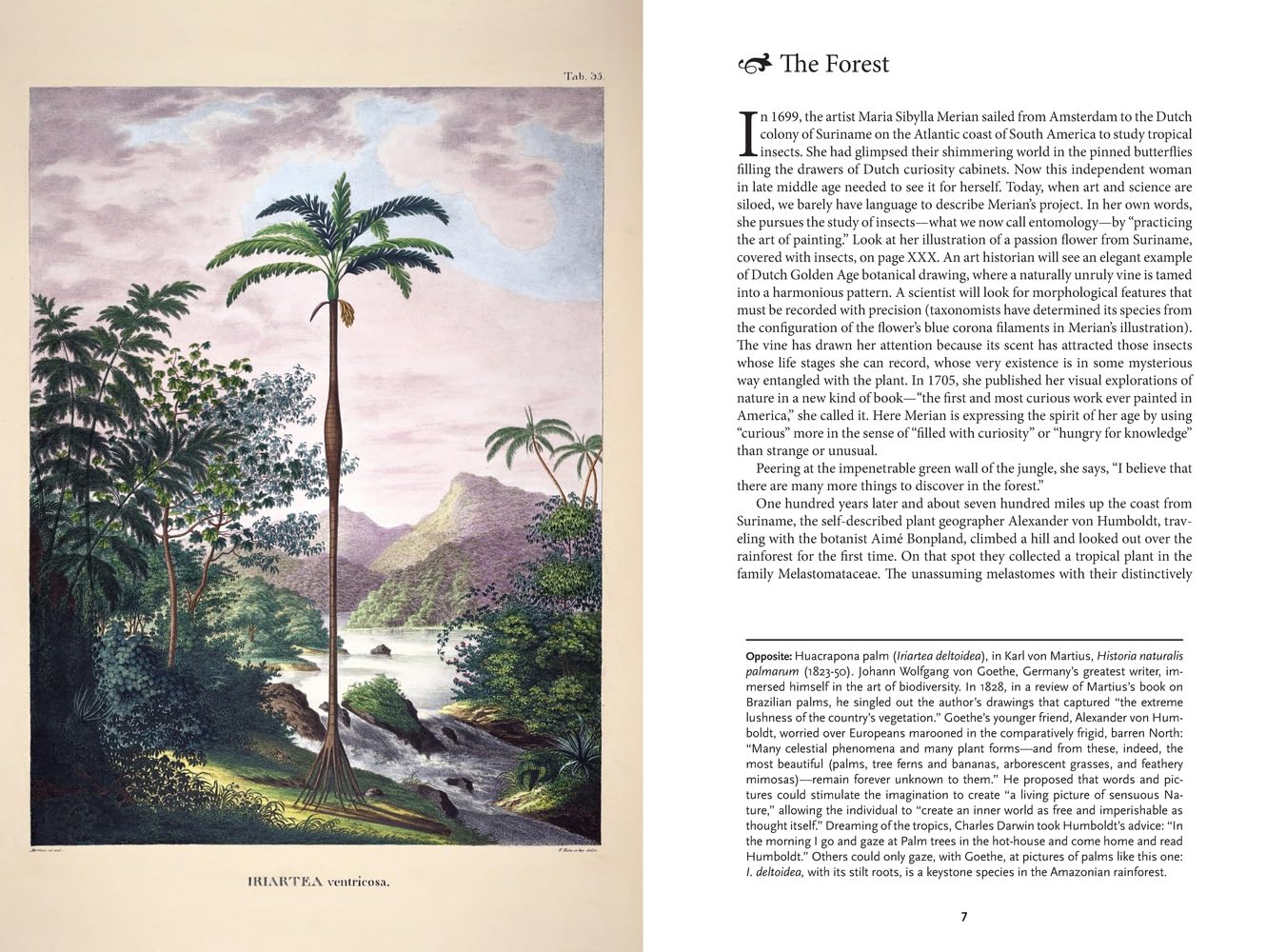 The Art of Biodiversity: Artists & Naturalists, 1700–1900