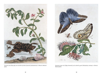 The Art of Biodiversity: Artists & Naturalists, 1700–1900