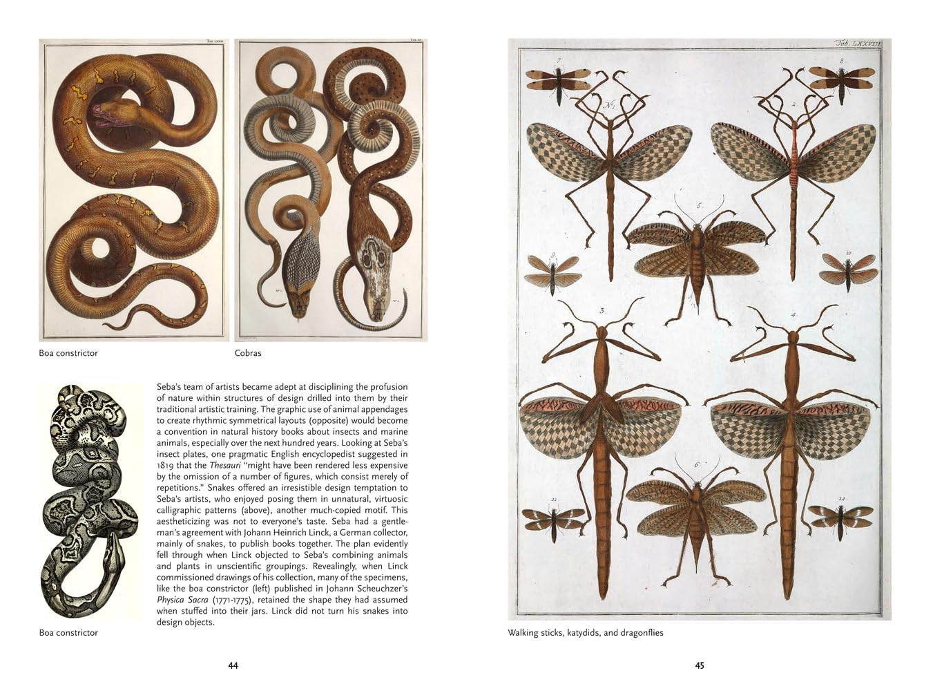 The Art of Biodiversity: Artists & Naturalists, 1700–1900
