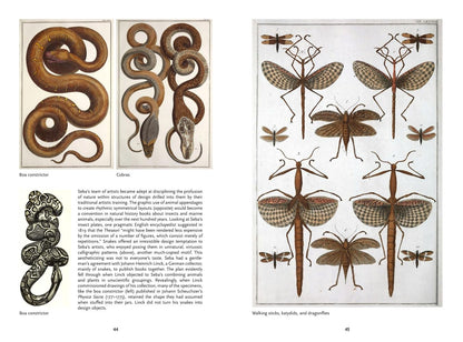 The Art of Biodiversity: Artists & Naturalists, 1700–1900