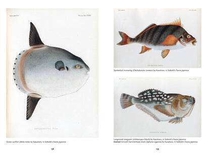 The Art of Biodiversity: Artists & Naturalists, 1700–1900