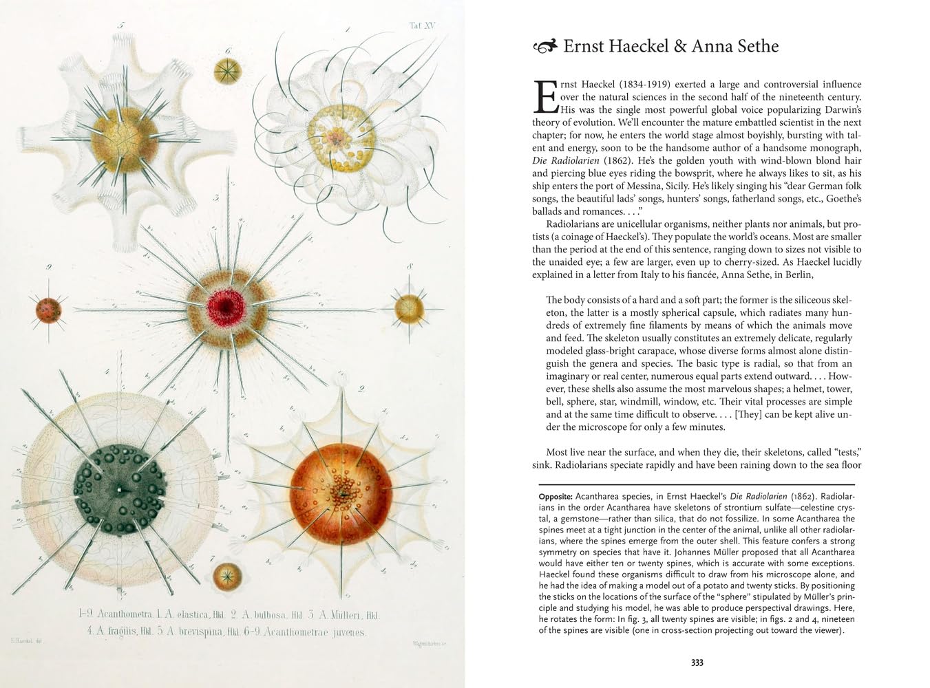The Art of Biodiversity: Artists & Naturalists, 1700–1900