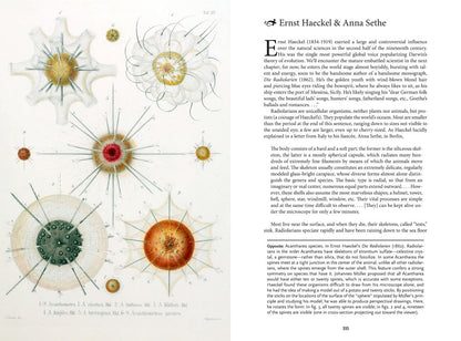 The Art of Biodiversity: Artists & Naturalists, 1700–1900
