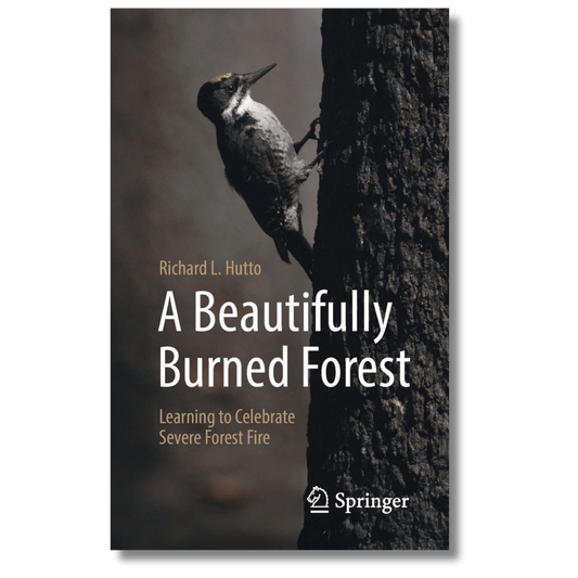 A Beautifully Burned Forest: Learning to Celebrate Severe Forest Fire