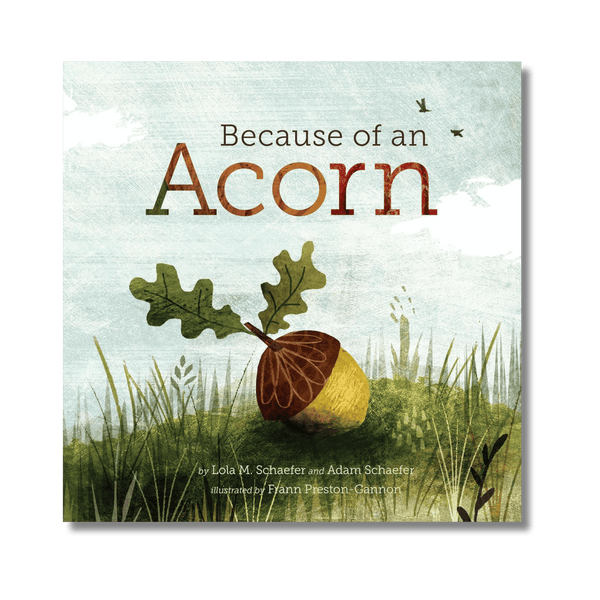 Because of an Acorn
