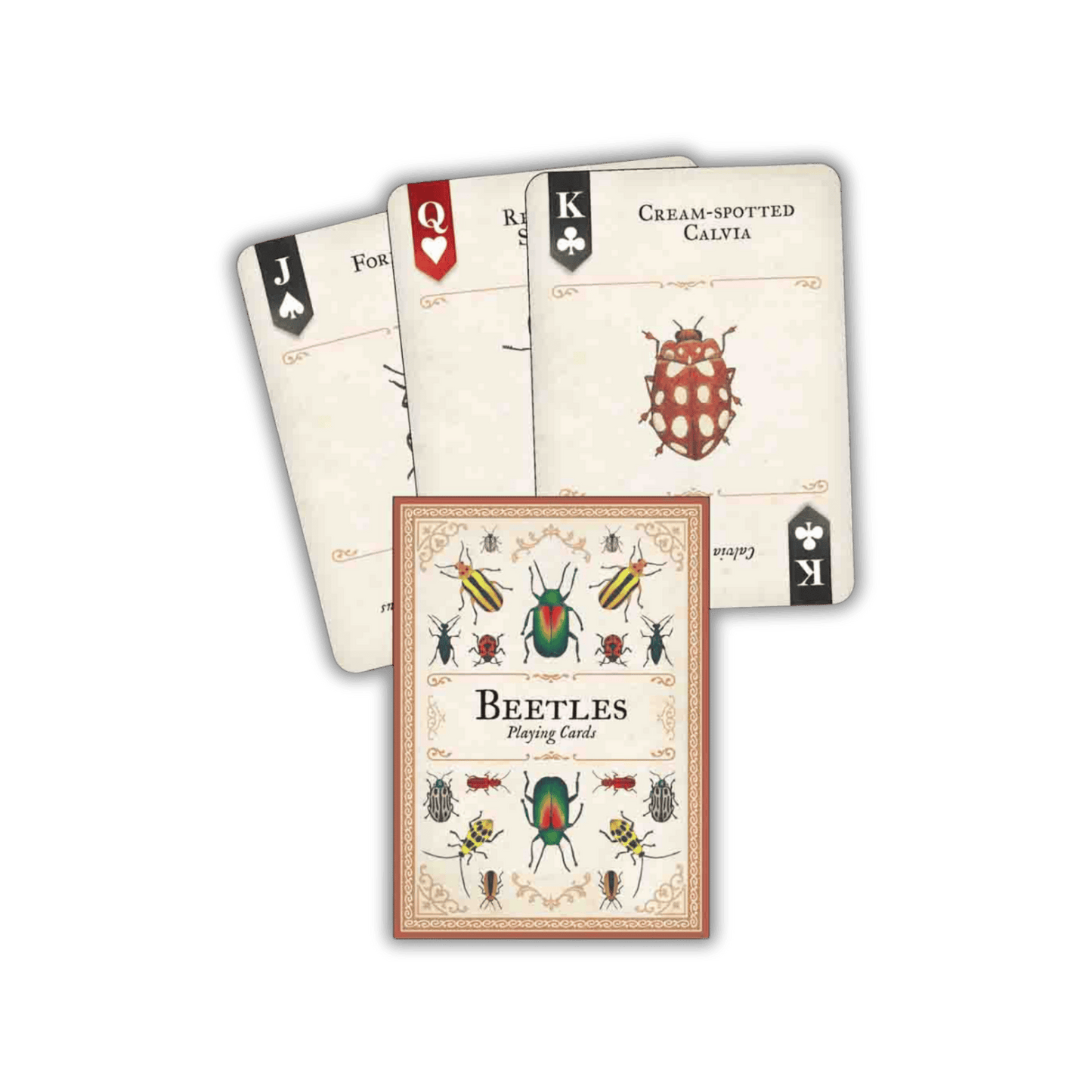 Beetles Playing Cards