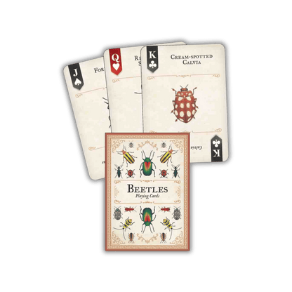 Beetles Playing Cards