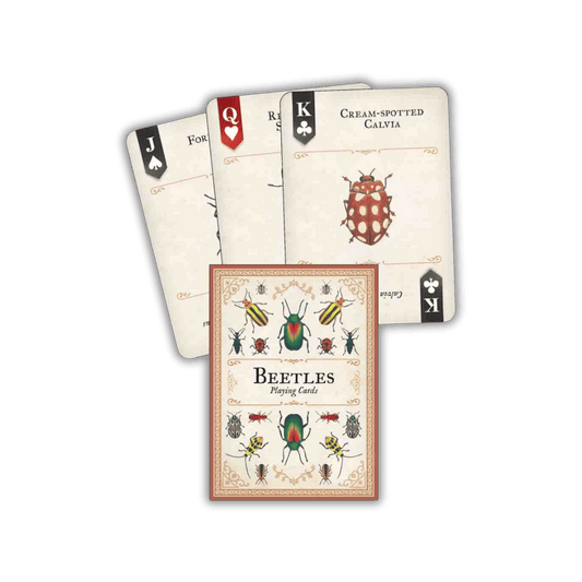 Beetles Playing Cards