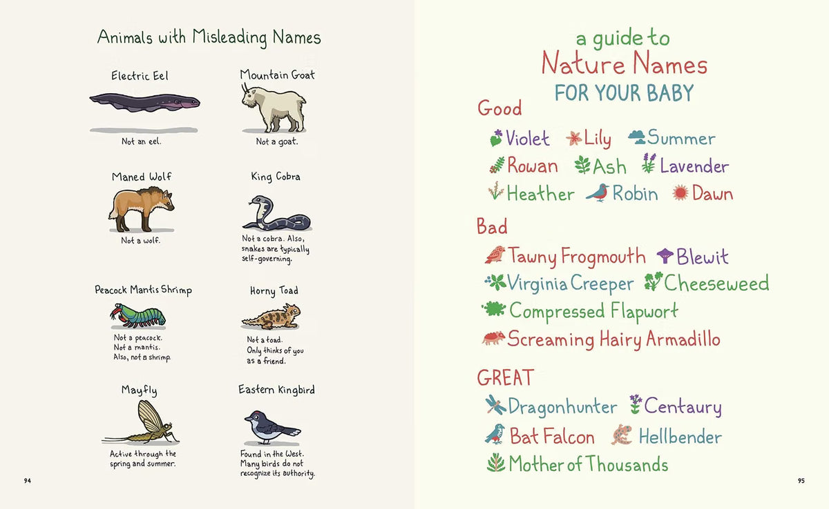Birding Is My Favorite Video Game: Cartoons about the Natural World