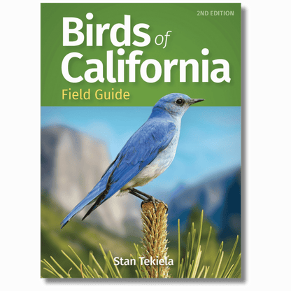 Birds of California Field Guide
